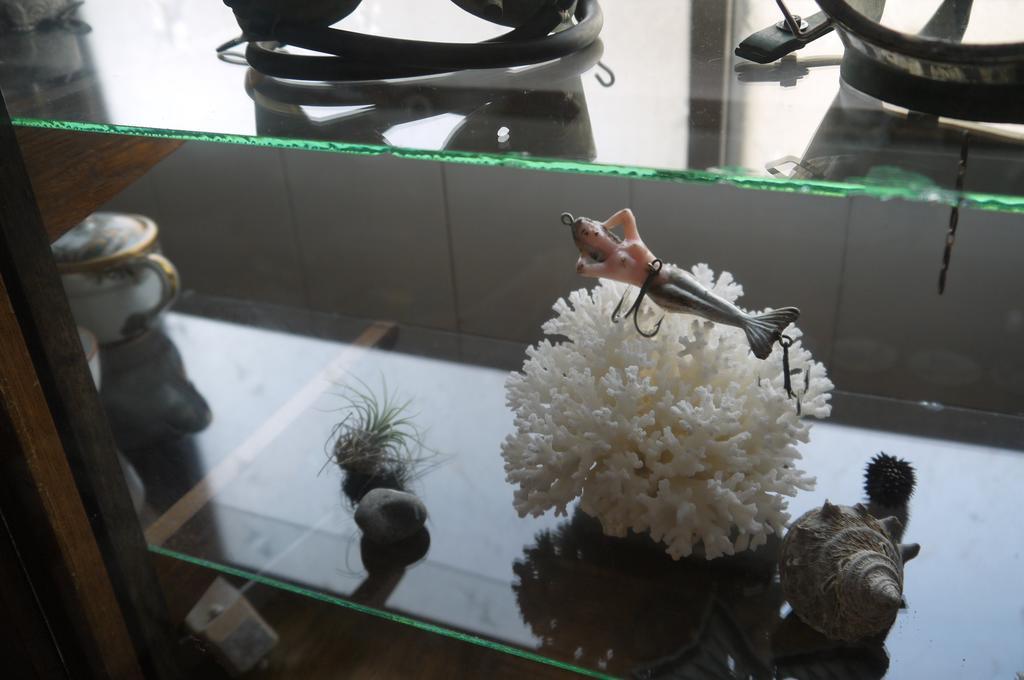 Minatoya Guesthouse Iki Bagian luar foto